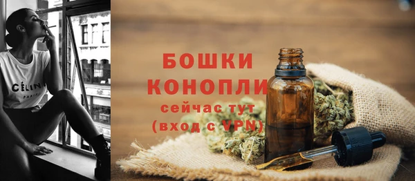 сатива Абаза
