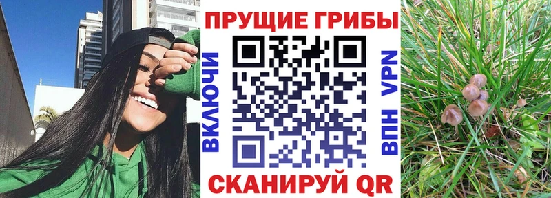 закладки  Тюмень  Галлюциногенные грибы ЛСД 
